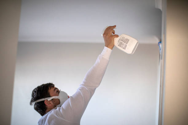 Best Affordable Mold Removal  in Lukachukai, AZ