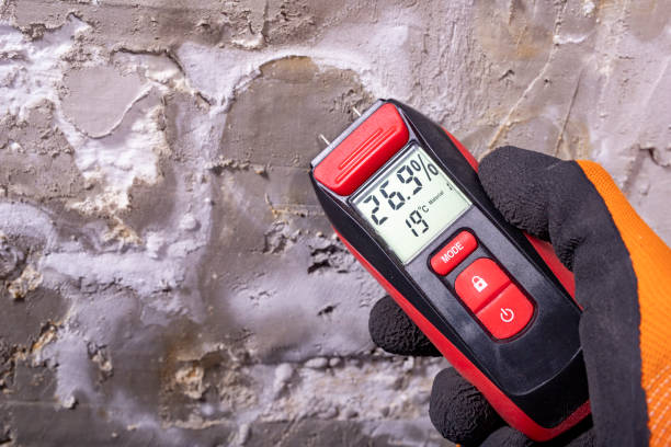 Best Black Mold Removal  in Lukachukai, AZ