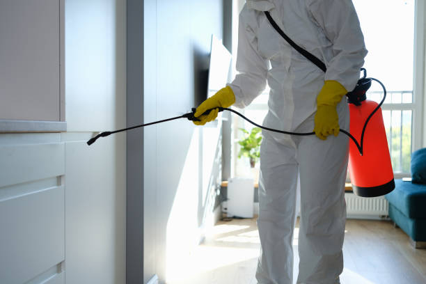 Best Certified Mold Removal  in Lukachukai, AZ