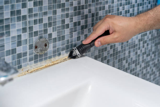 Best Same-Day Mold Removal  in Lukachukai, AZ